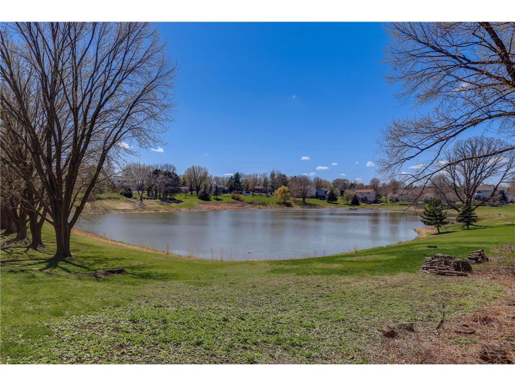 14331 Dawson Court Rosemount MN 55068 7053067 image48
