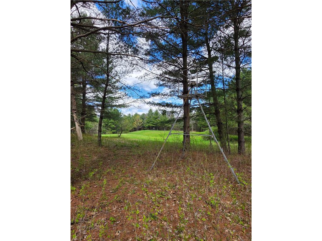 1434 105th Avenue Amery WI 54001 - Balsam Lake 7066906 image97