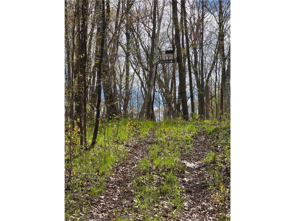 1434 105th Avenue Amery WI 54001 - Balsam Lake 7066906 image99