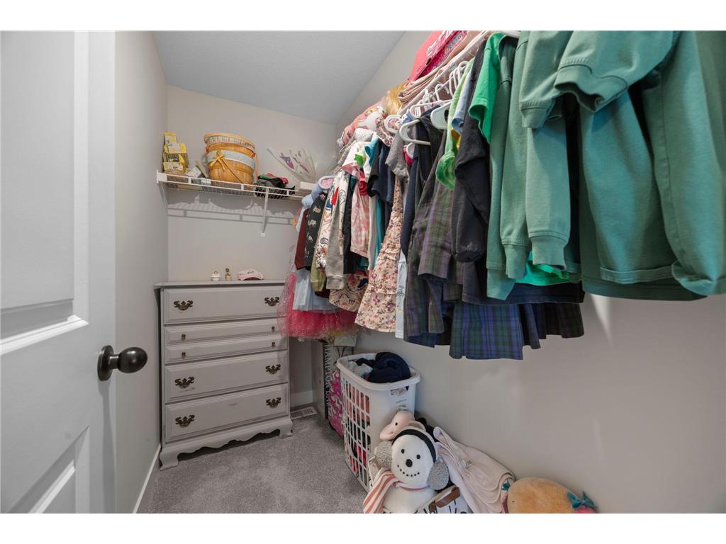 14341 Alder Way Rosemount MN 55068 7045650 image39