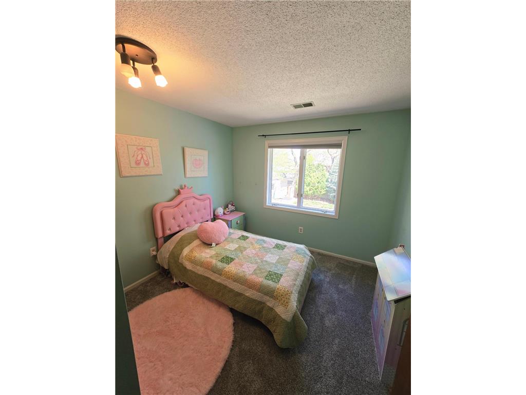 1435 138th Avenue NW Andover MN 55304 7084057 image29