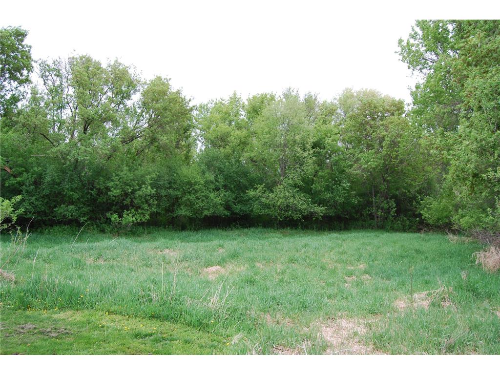 14350 Hummingbird Street NW Andover MN 55304 7073786 image46