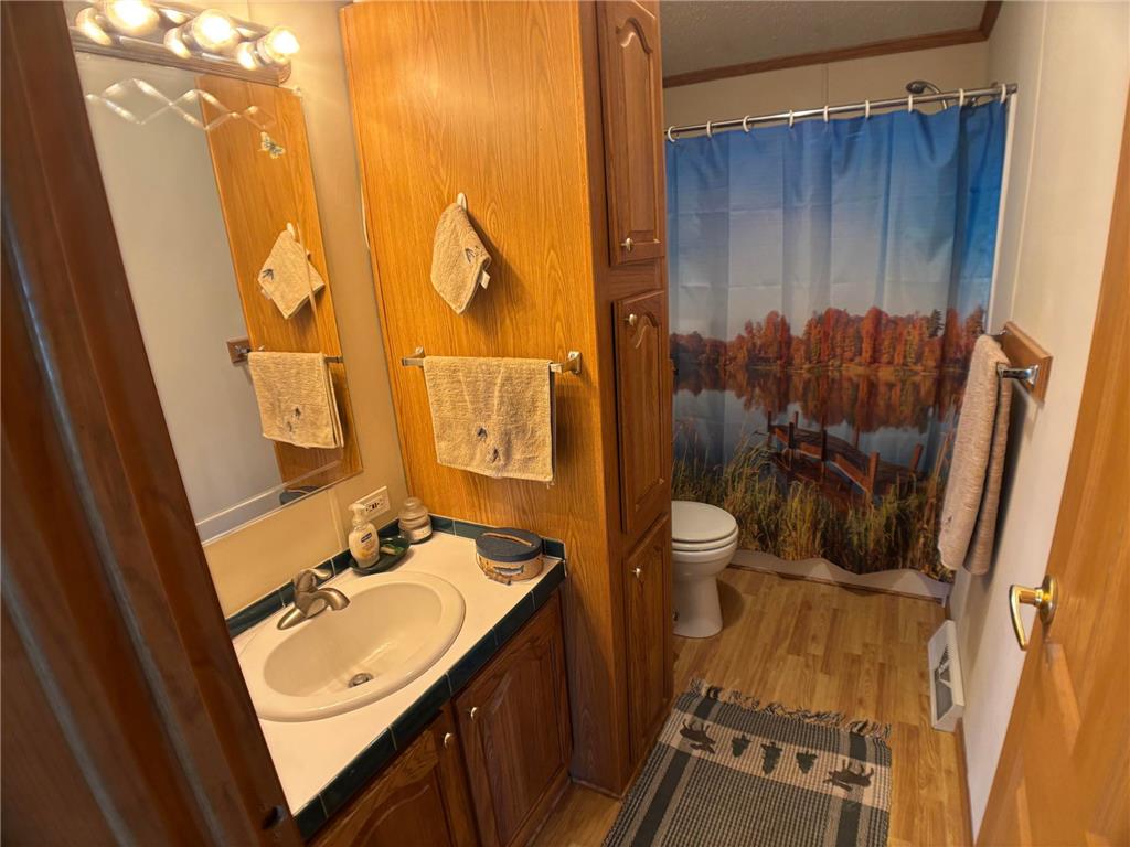 14351 110th Street Milo Twp MN 56330 7078987 image12