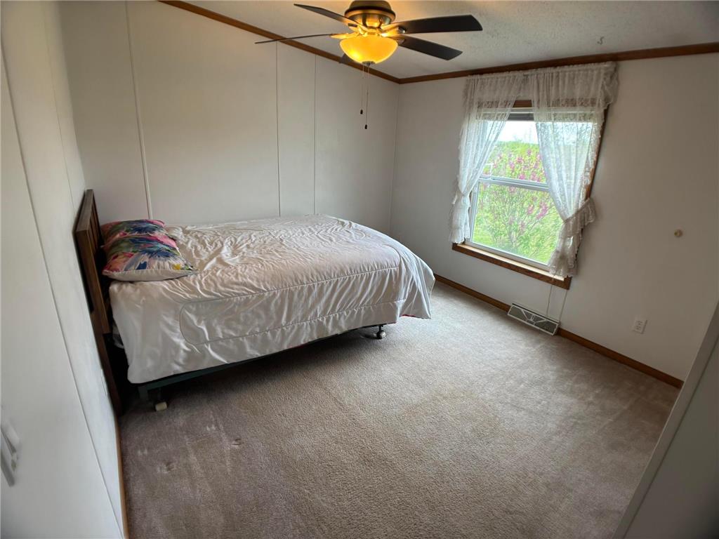 14351 110th Street Milo Twp MN 56330 7078987 image17
