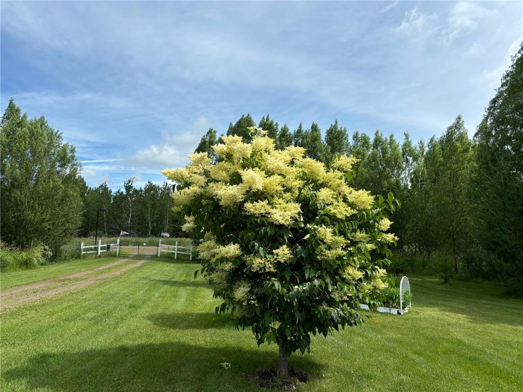 14351 110th Street Milo Twp MN 56330 7078987 image21