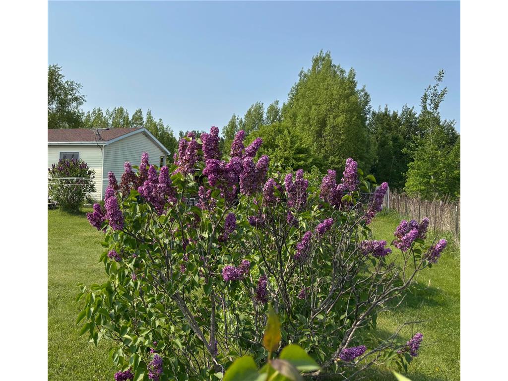 14351 110th Street Milo Twp MN 56330 7078987 image29