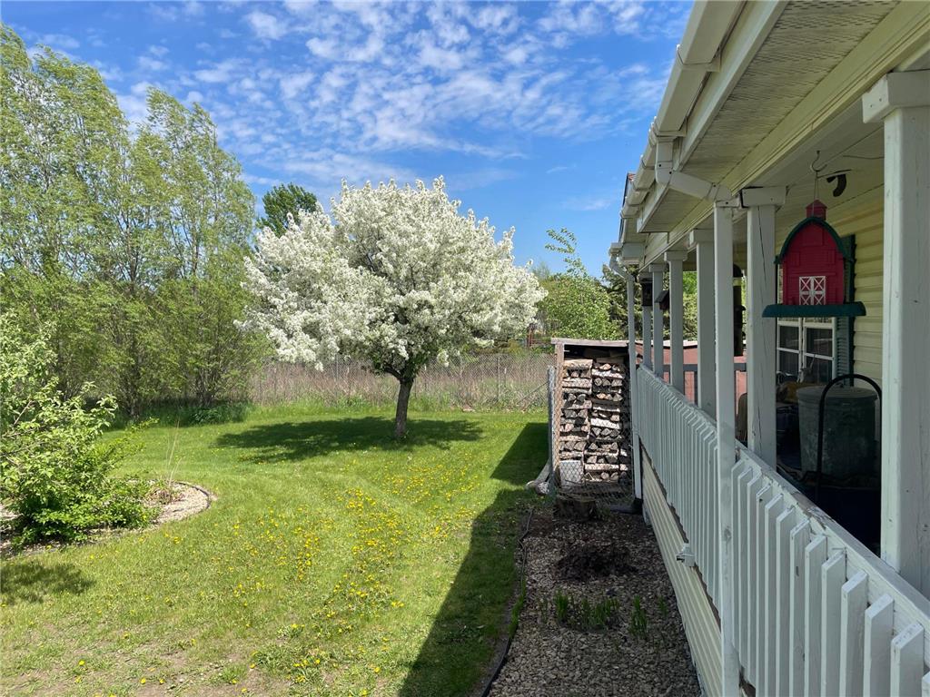 14351 110th Street Milo Twp MN 56330 7078987 image3
