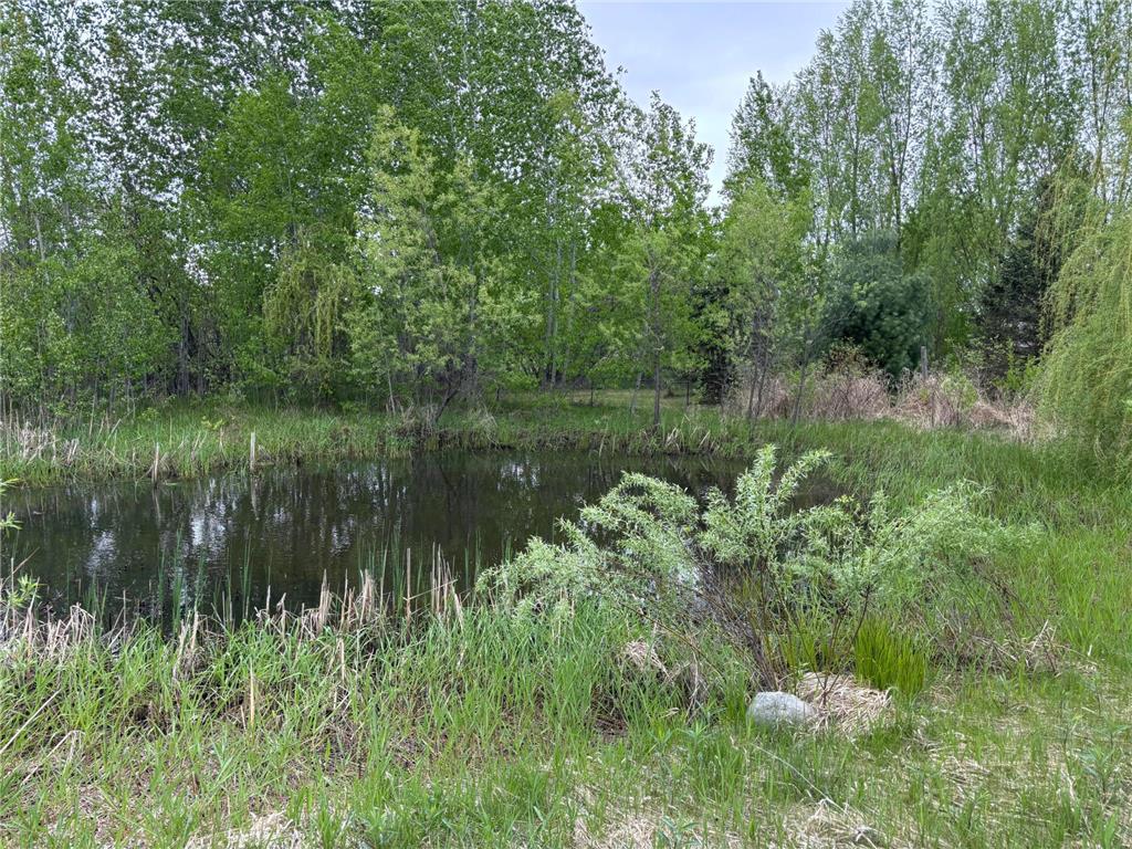 14351 110th Street Milo Twp MN 56330 7078987 image31