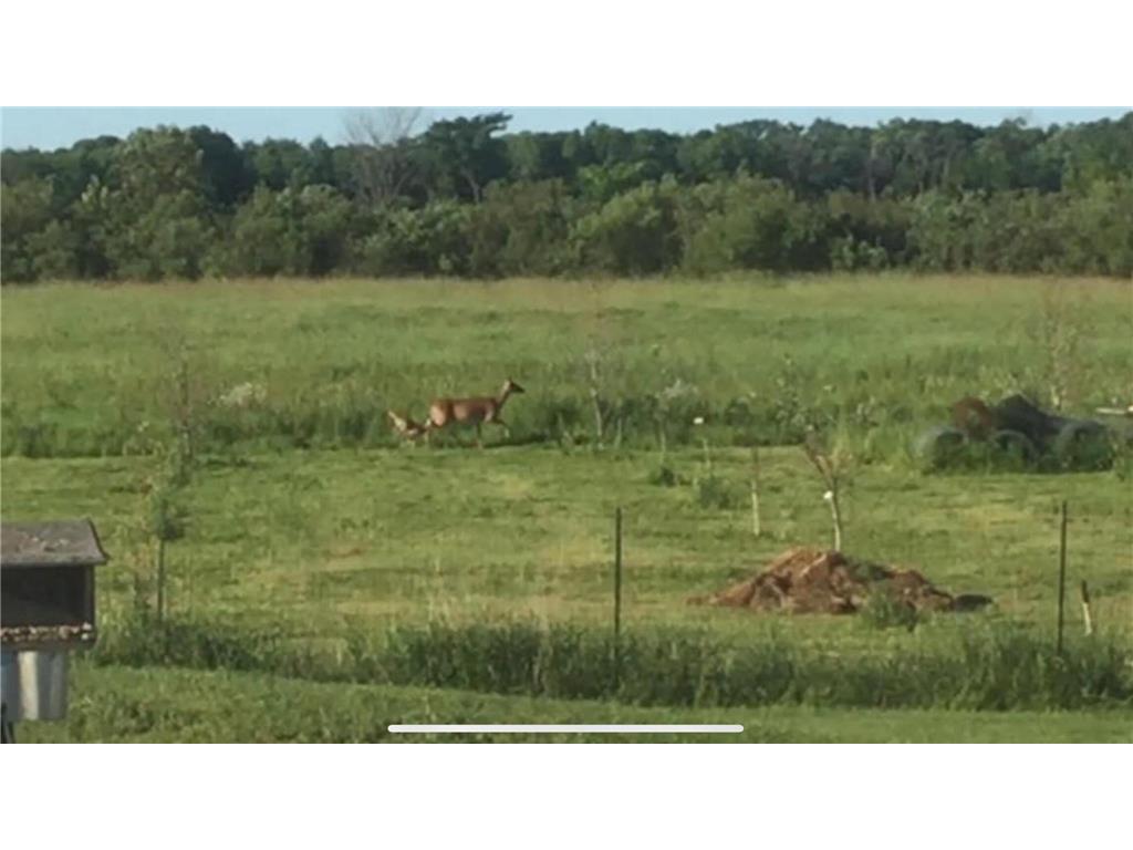 14351 110th Street Milo Twp MN 56330 7078987 image32