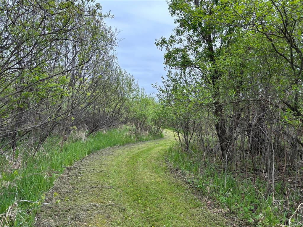 14351 110th Street Milo Twp MN 56330 7078987 image34