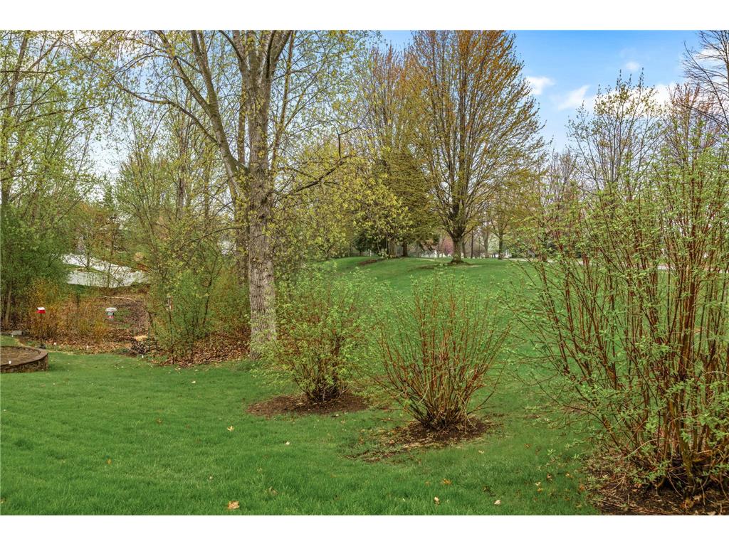 14351 Bentley Way Rosemount MN 55068 6815608 image25
