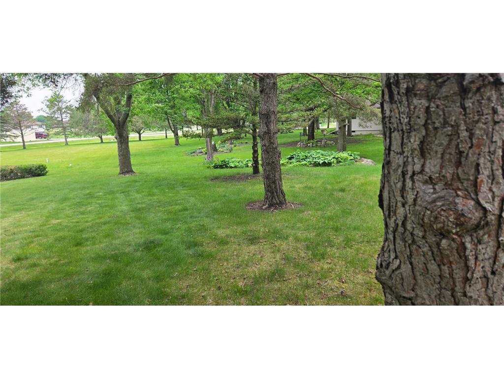 14351 Hill & Dale Drive Waseca MN 56093 7074464 image15