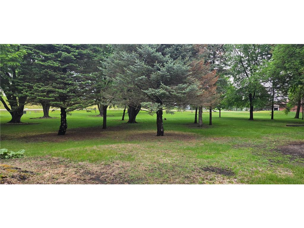 14351 Hill & Dale Drive Waseca MN 56093 7074464 image16