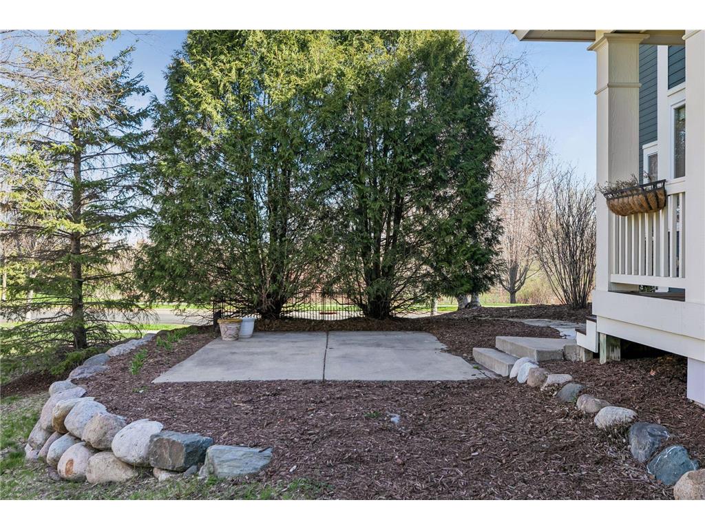 14356 Cosette Way N Hugo MN 55038 7011145 image41