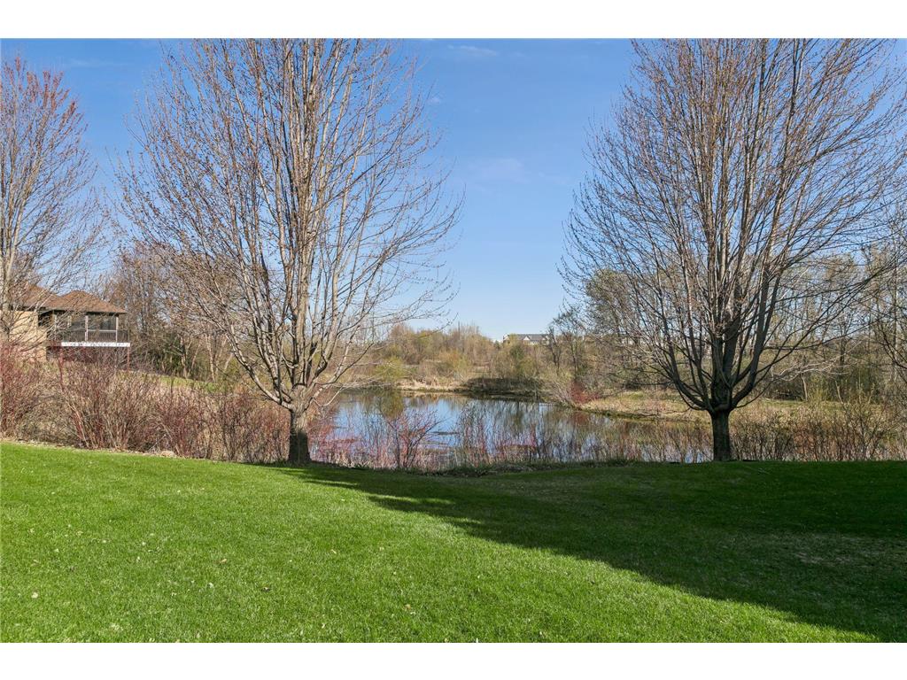 14356 Cosette Way N Hugo MN 55038 7011145 image42
