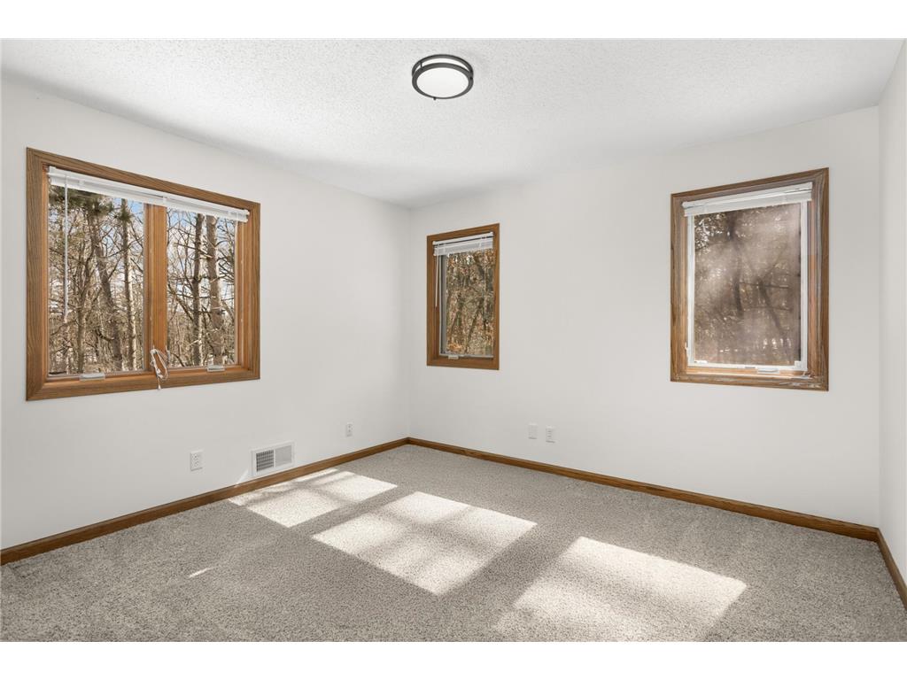 14359 Hyde Avenue N Hugo MN 55038 7043757 image23