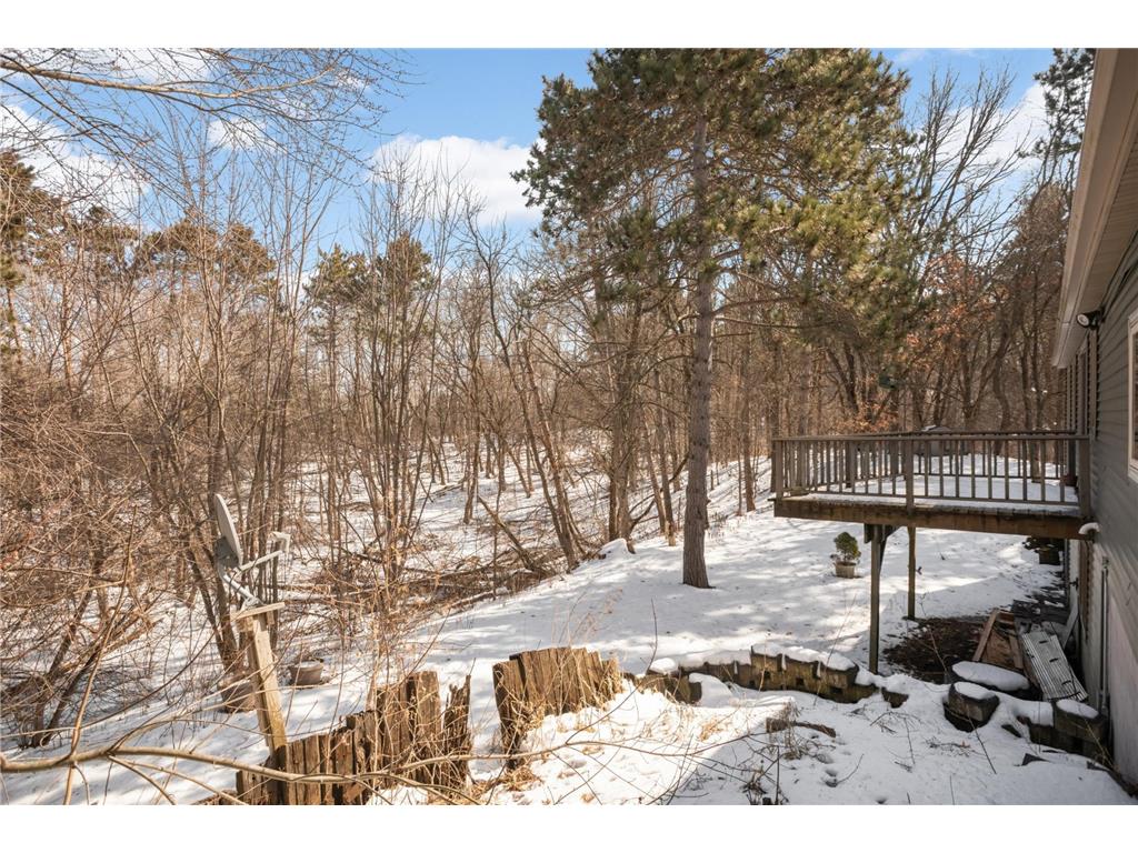 14359 Hyde Avenue N Hugo MN 55038 7043757 image28