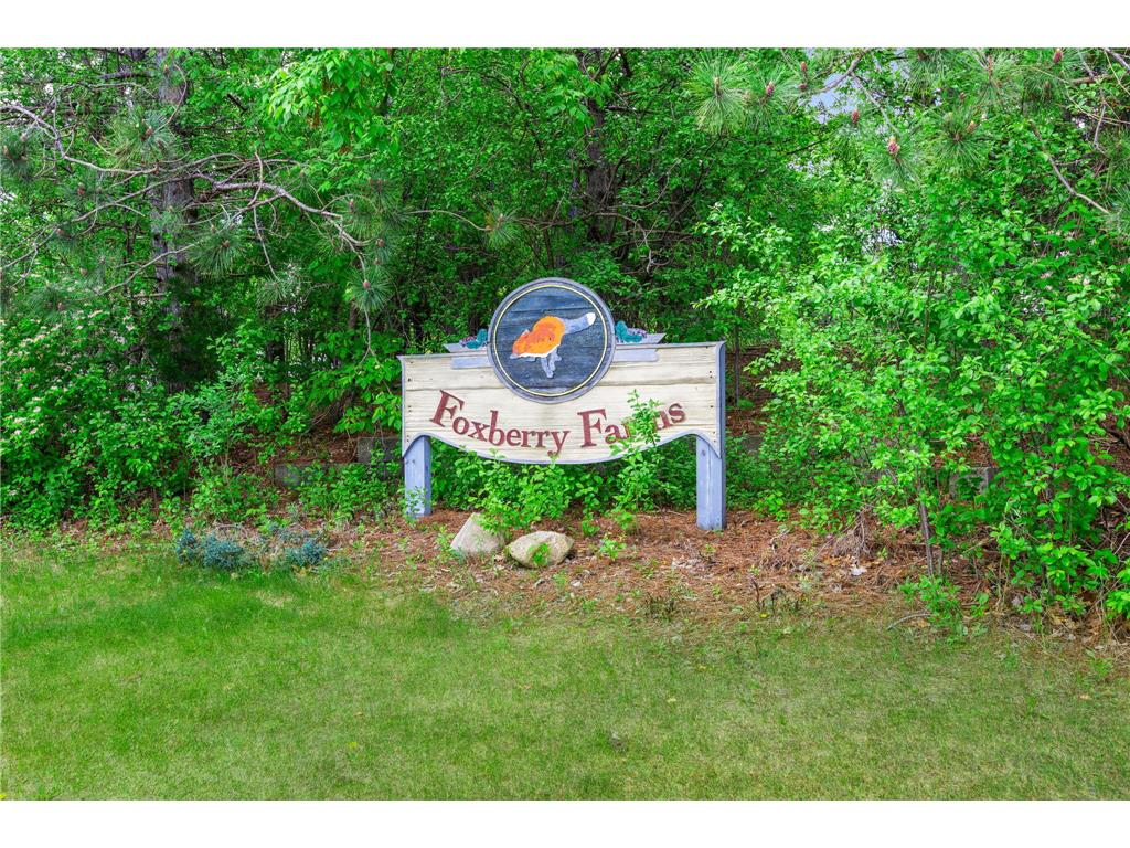 14378 Eagle Street NW Andover MN 55304 7082430 image6
