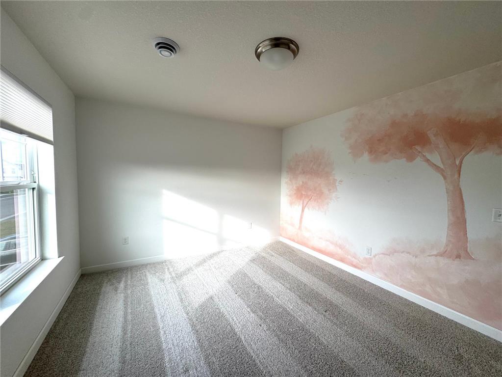 14384 Allerton Way Rosemount MN 55068 6817465 image14