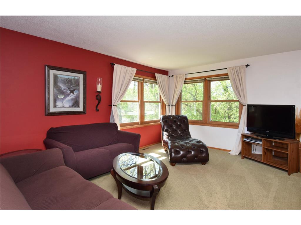 14393 Kerry Street NW Andover MN 55304 7072091 image8