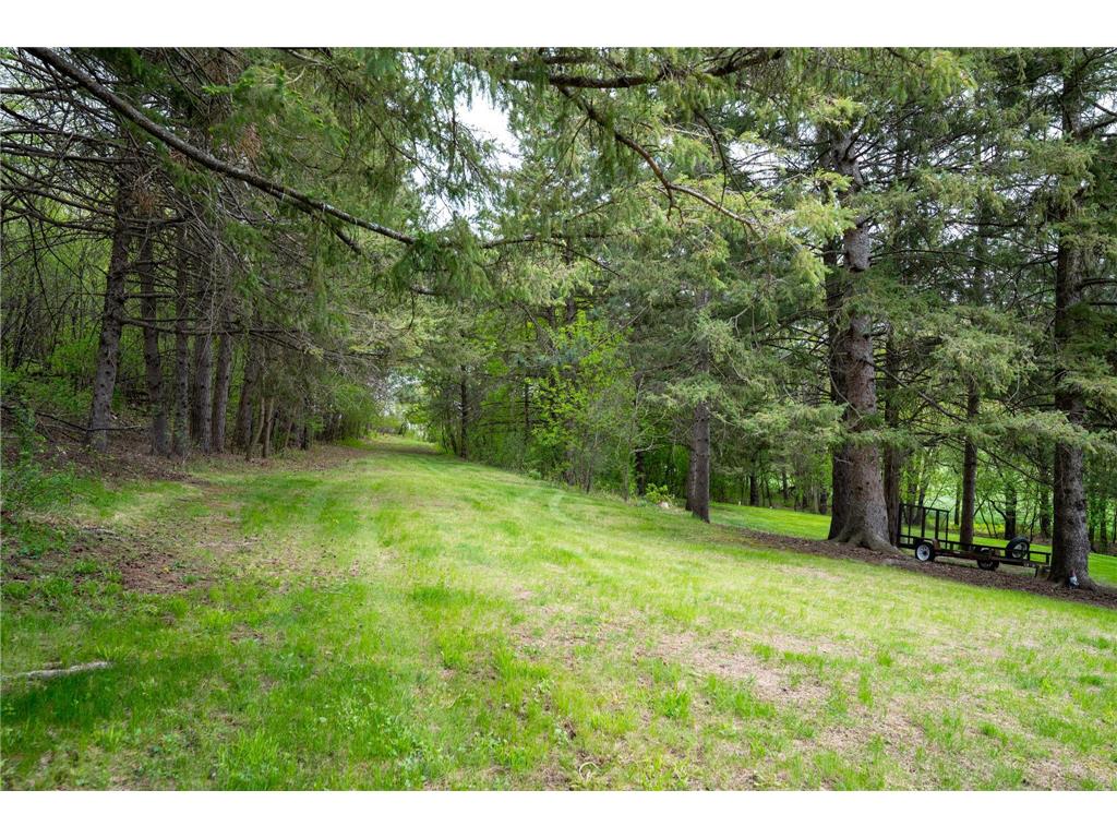 14399 County 1 Boulevard Vasa Twp MN 55027 7060910 image11