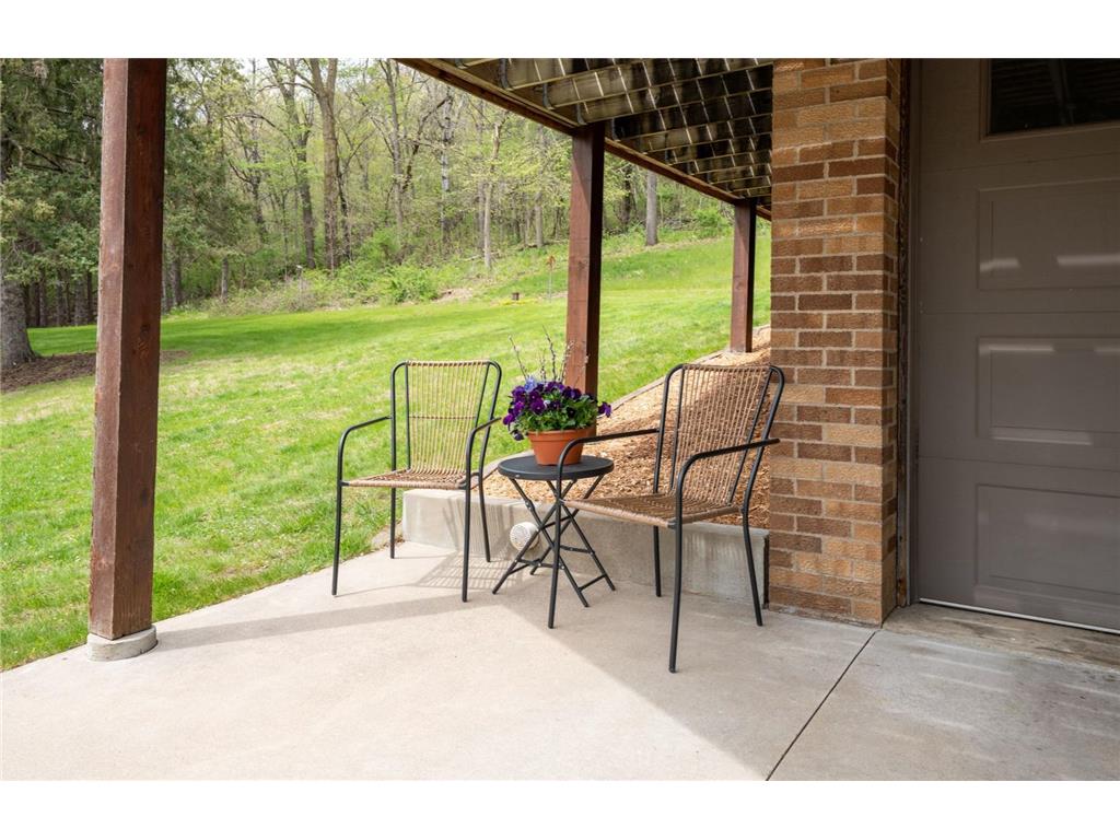 14399 County 1 Boulevard Vasa Twp MN 55027 7060910 image13