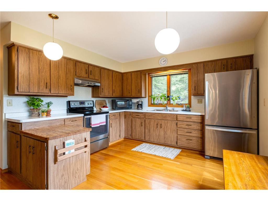 14399 County 1 Boulevard Vasa Twp MN 55027 7060910 image16