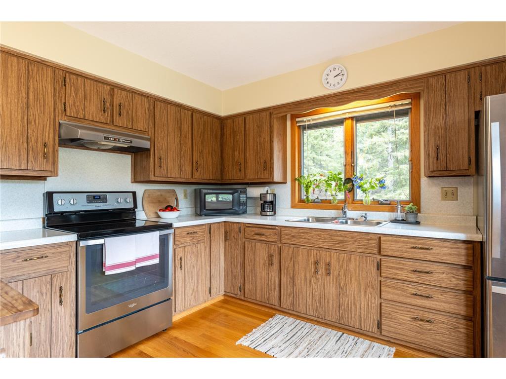 14399 County 1 Boulevard Vasa Twp MN 55027 7060910 image17