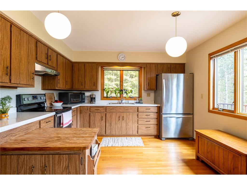 14399 County 1 Boulevard Vasa Twp MN 55027 7060910 image18