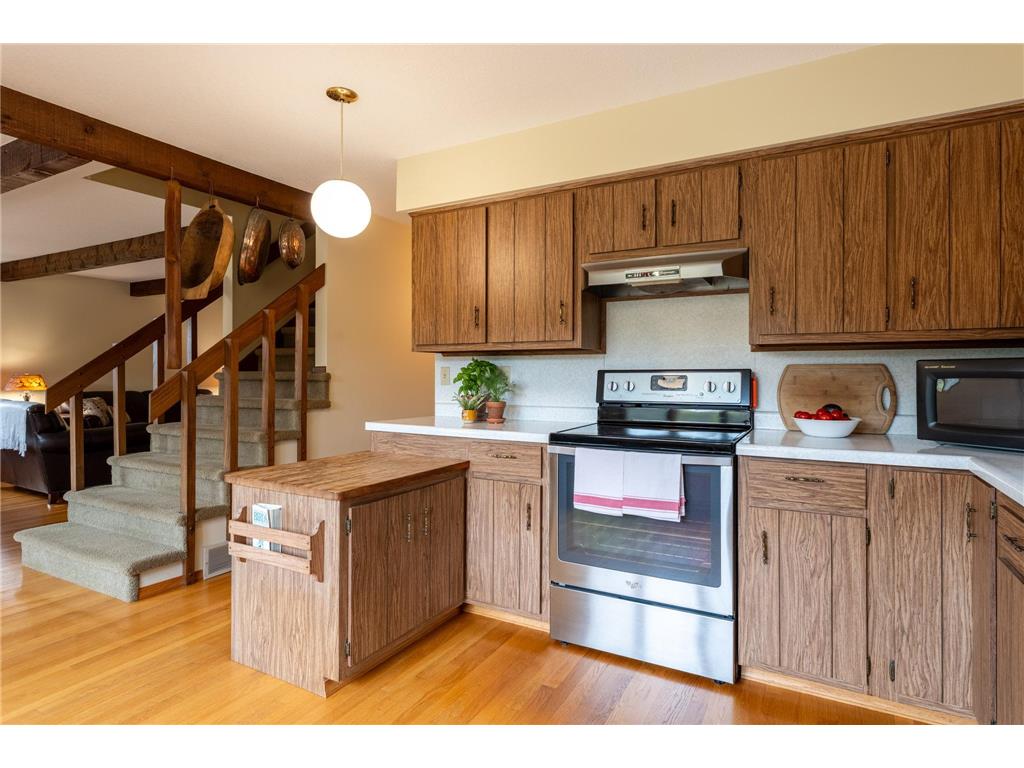 14399 County 1 Boulevard Vasa Twp MN 55027 7060910 image19