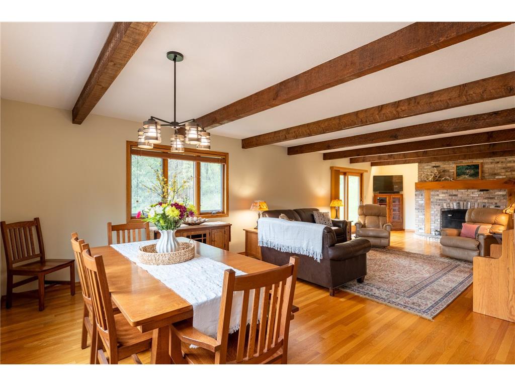 14399 County 1 Boulevard Vasa Twp MN 55027 7060910 image22
