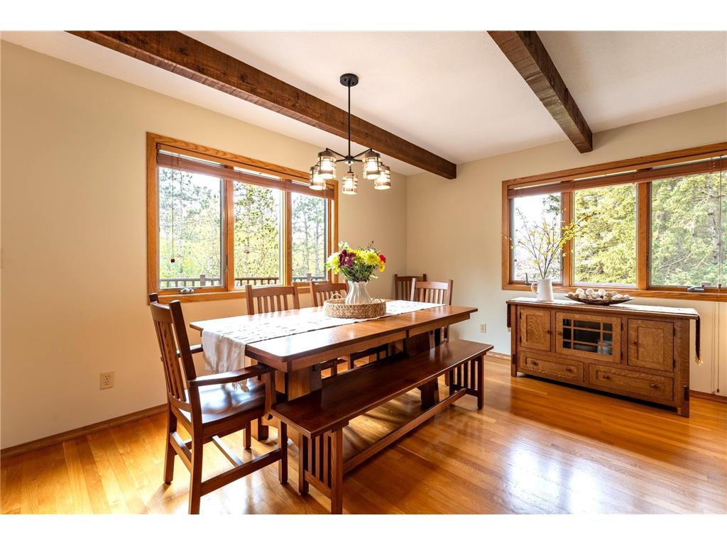 14399 County 1 Boulevard Vasa Twp MN 55027 7060910 image23