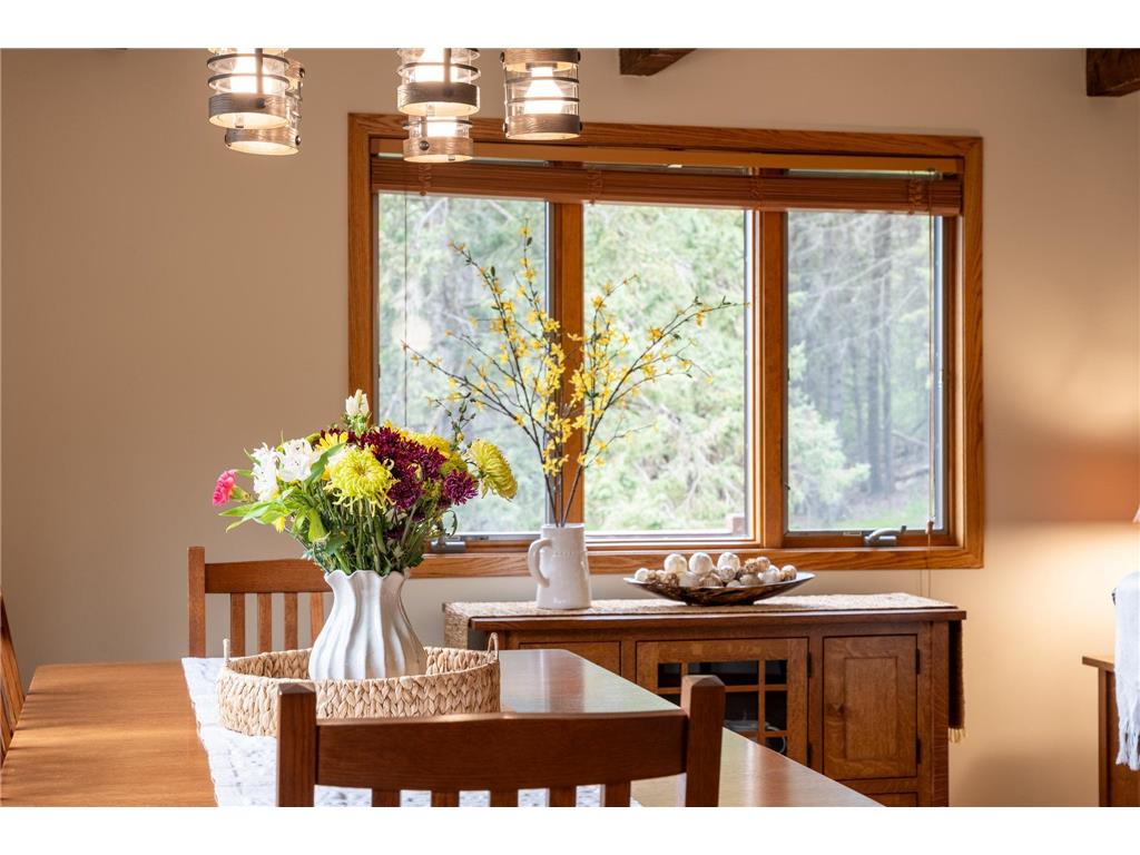 14399 County 1 Boulevard Vasa Twp MN 55027 7060910 image26