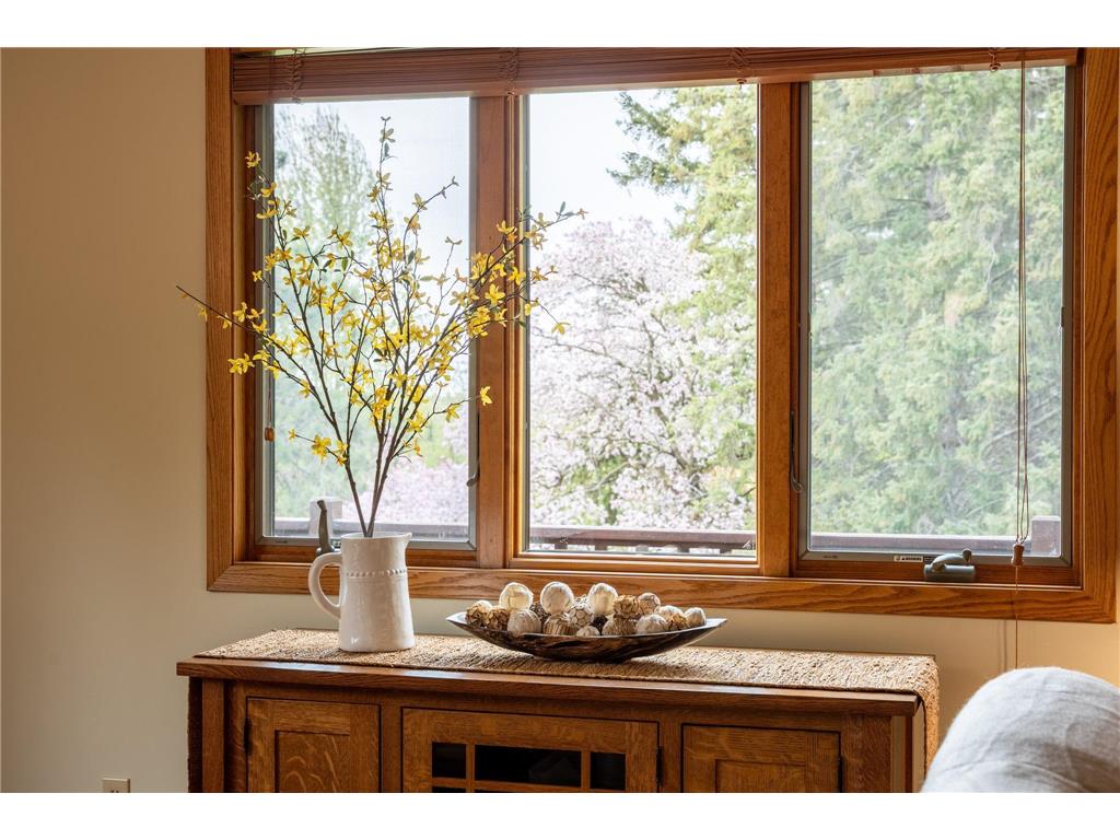 14399 County 1 Boulevard Vasa Twp MN 55027 7060910 image27