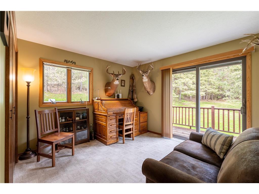 14399 County 1 Boulevard Vasa Twp MN 55027 7060910 image35
