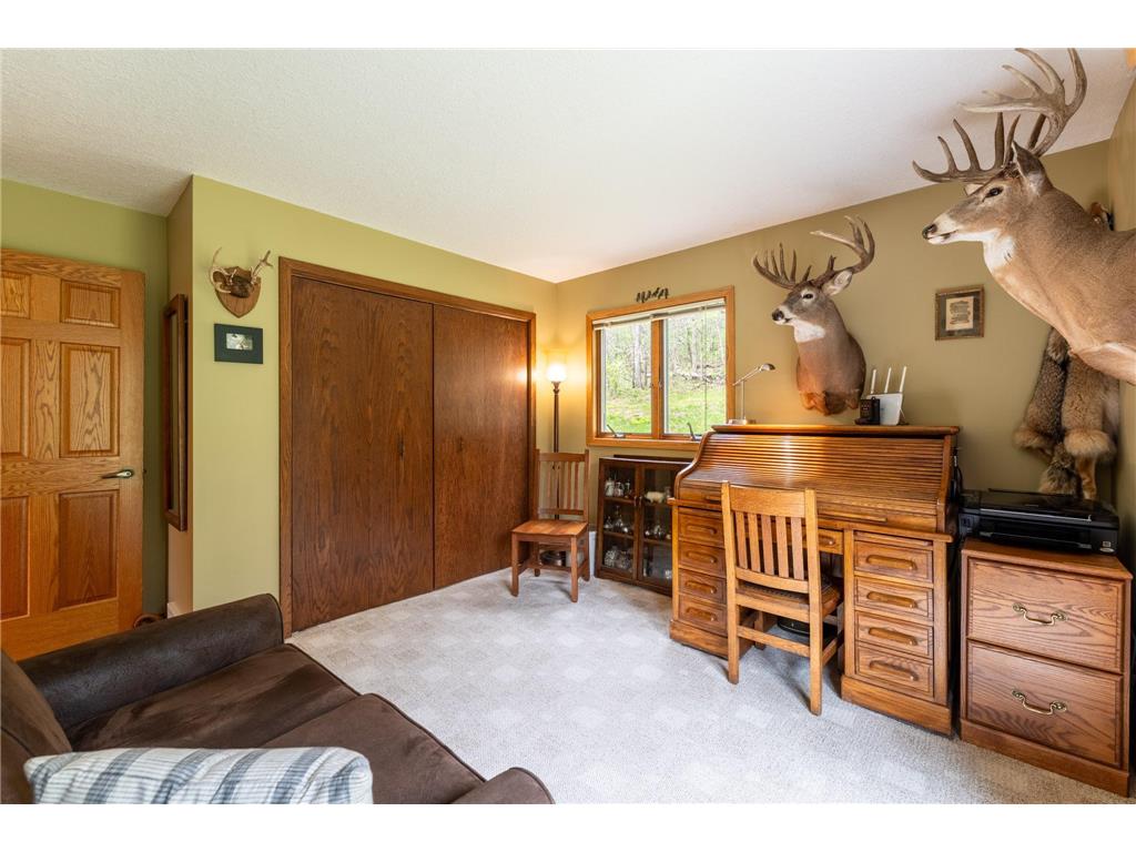 14399 County 1 Boulevard Vasa Twp MN 55027 7060910 image36