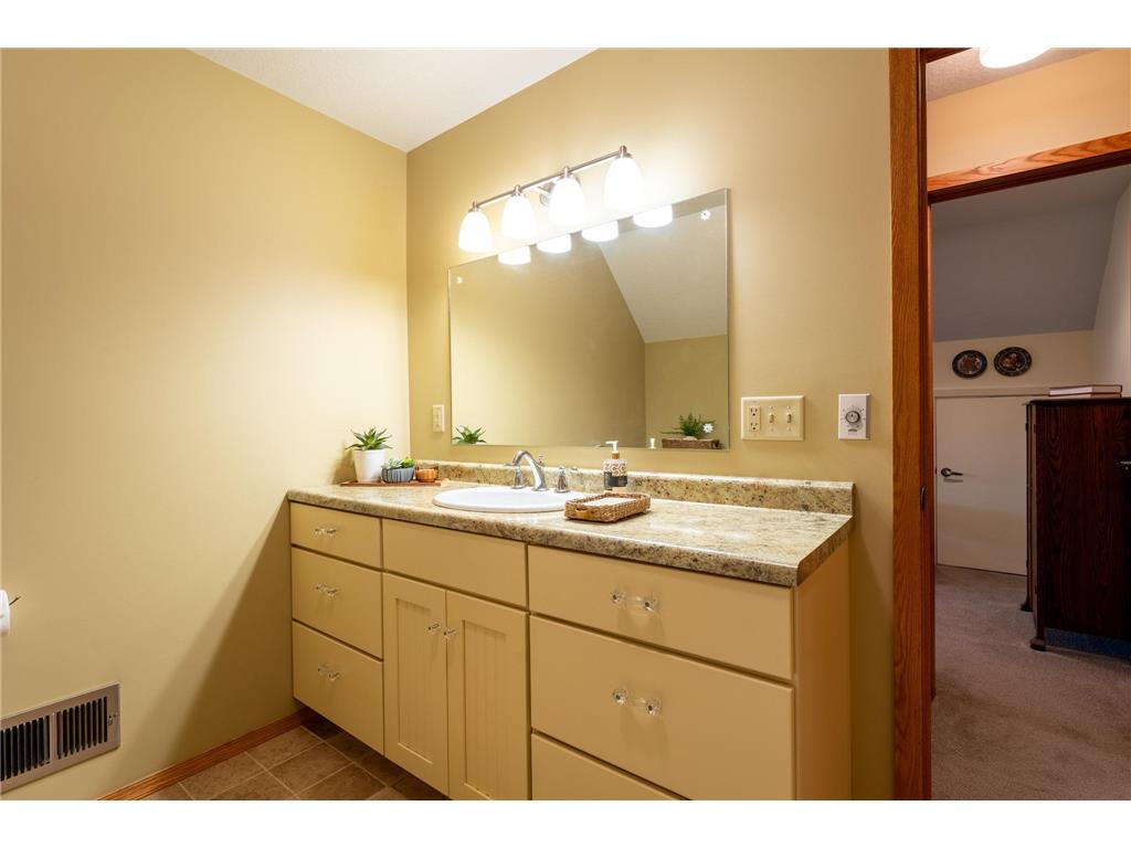 14399 County 1 Boulevard Vasa Twp MN 55027 7060910 image45