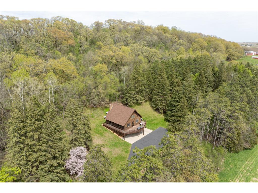 14399 County 1 Boulevard Vasa Twp MN 55027 7060910 image52