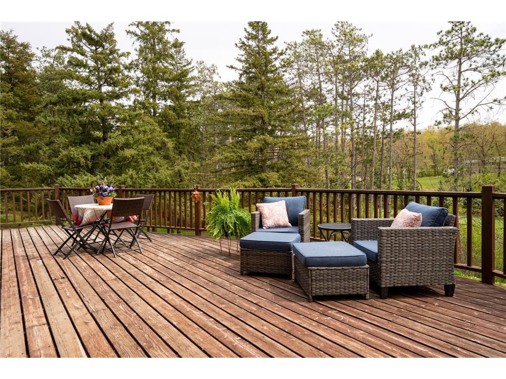 14399 County 1 Boulevard Vasa Twp MN 55027 7060910 image6