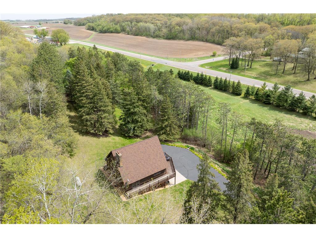 14399 County 1 Boulevard Vasa Twp MN 55027 7060910 image9