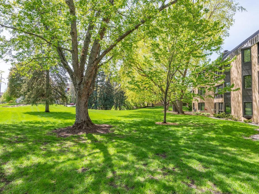 14401 Atrium Way #136 Minnetonka MN 55345 7069766 image36