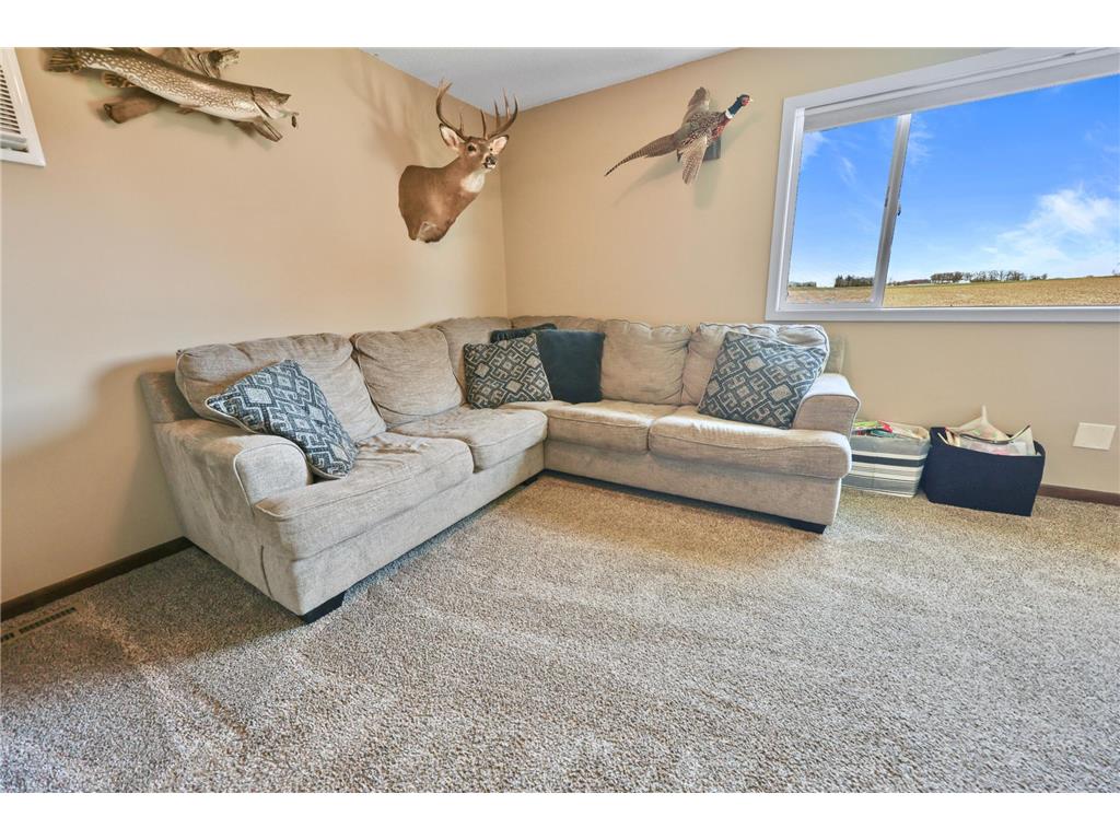 14403 65th Avenue NE Rice MN 56367 7064891 image10