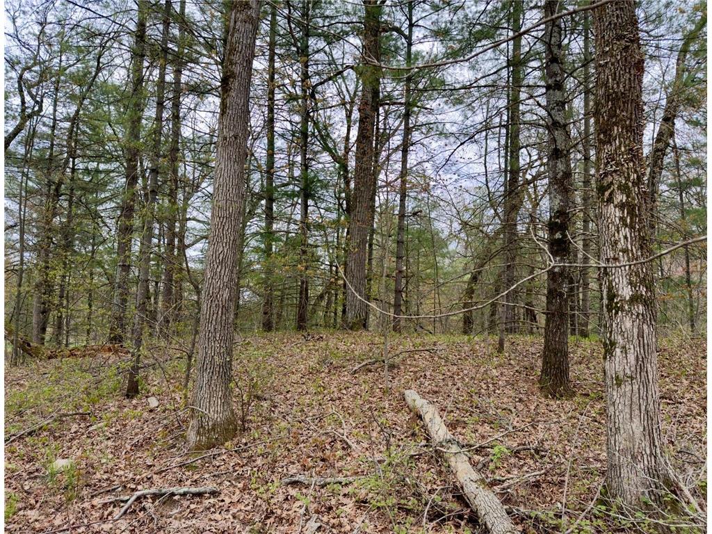 14405 255th Avenue Sampson Twp WI 54757 7071963 image6