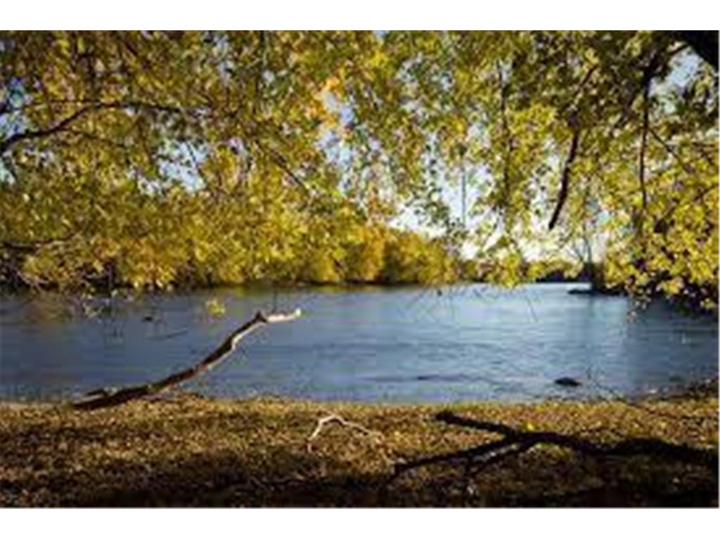 14423 Kingsview Lane N Dayton MN 55327 7038772 image61