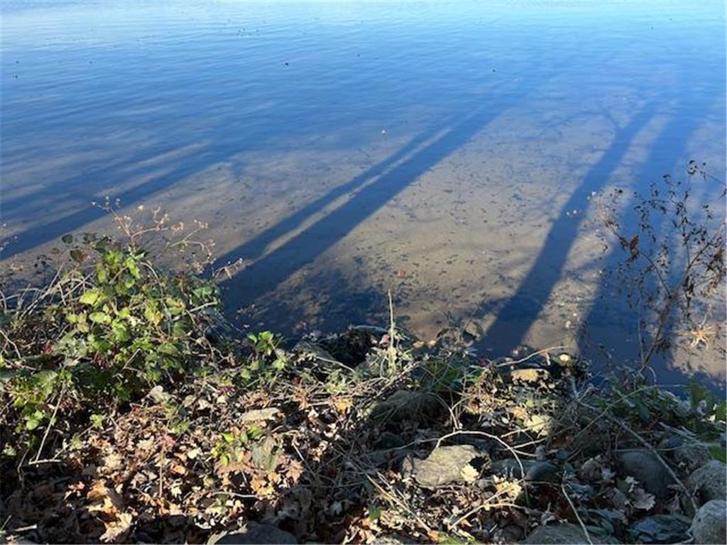 14438 Cedarleaf Point Road Brainerd MN 56401 - South Long 6798304 image45