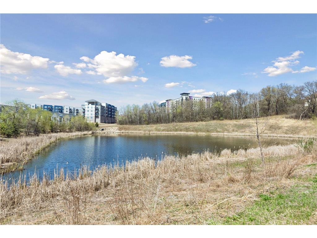14440 Twin Lakes Circle Burnsville MN 55306 7037319 image6