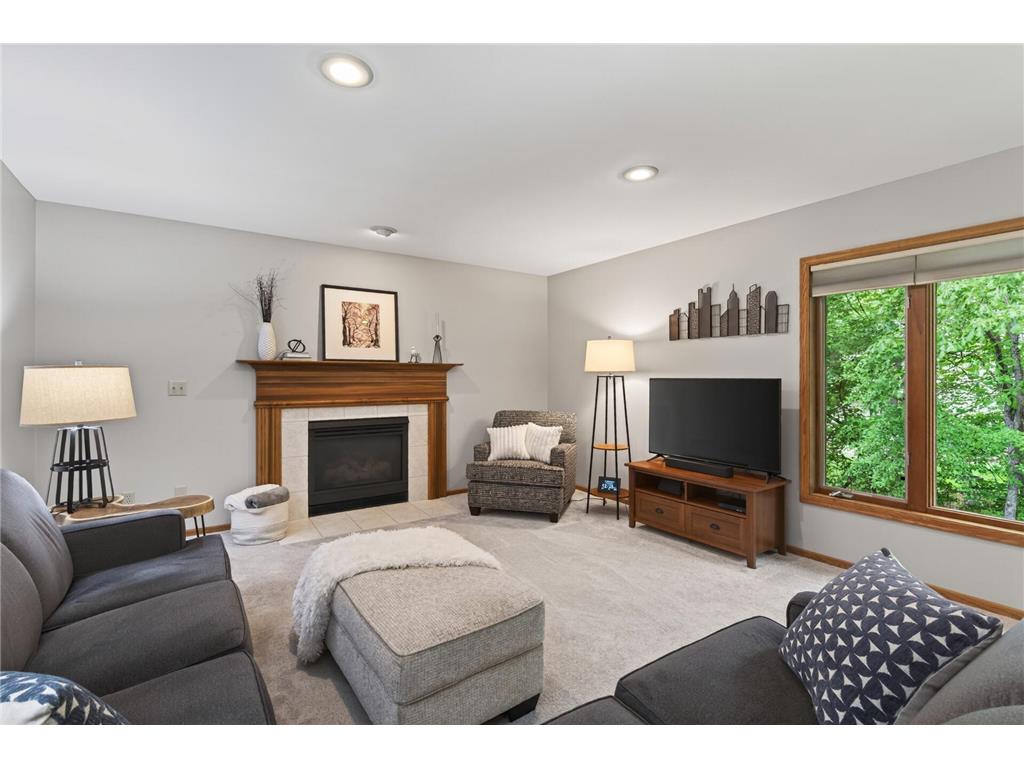 14443 Raven Street NW Andover MN 55304 7067909 image11