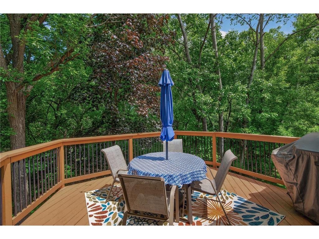 14443 Raven Street NW Andover MN 55304 7067909 image28