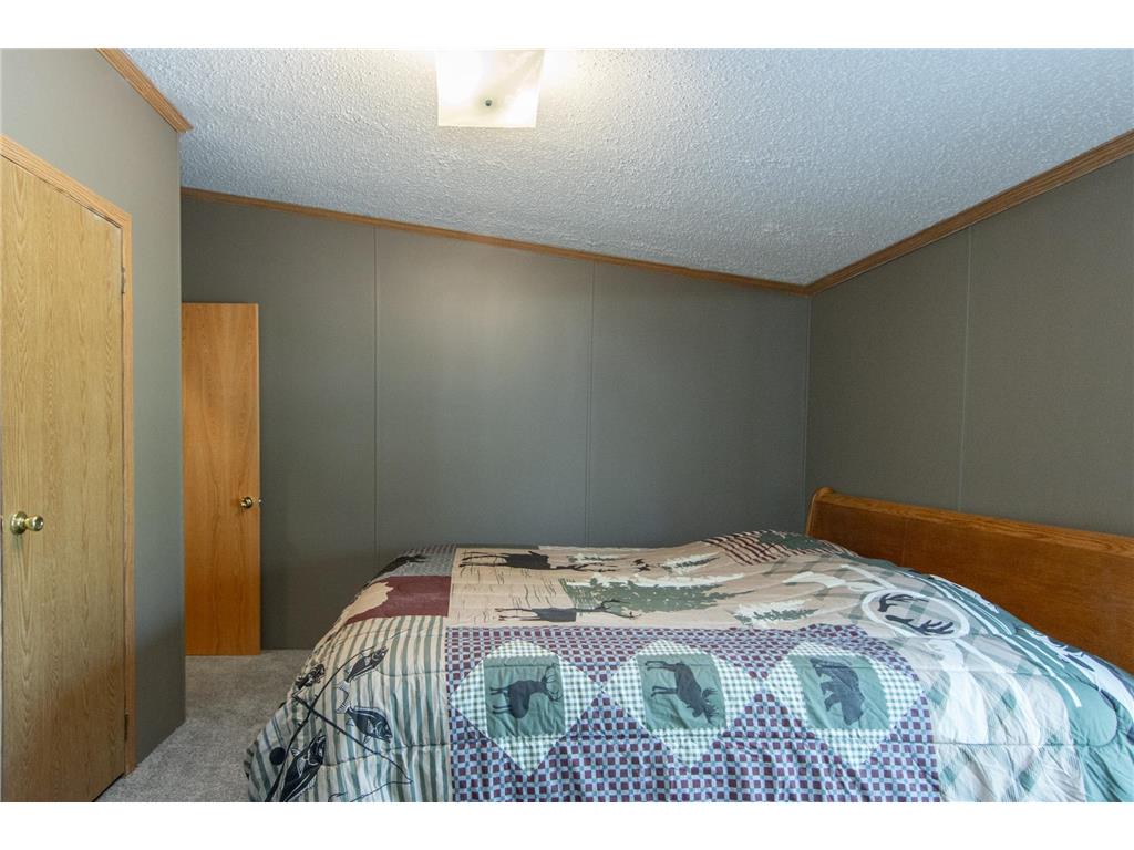 1445 White Cloud Drive S Isle MN 56342 - Mille Lacs Lake 7065619 image20