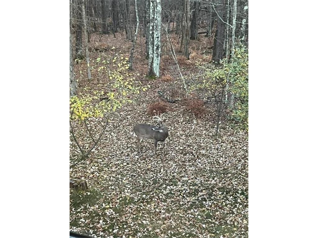 14475 County Road O Grantsburg WI 54840 7076172 image38